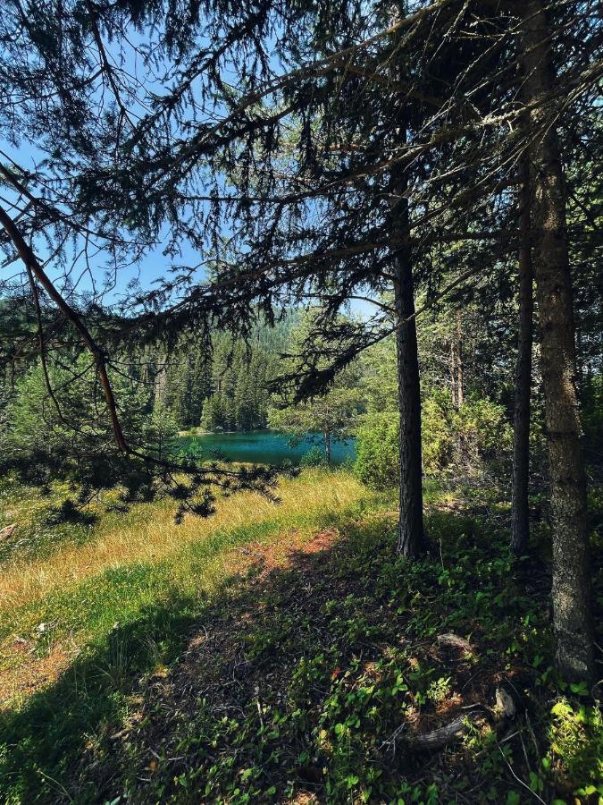 Zminica Lake House 자블야크 외부 사진