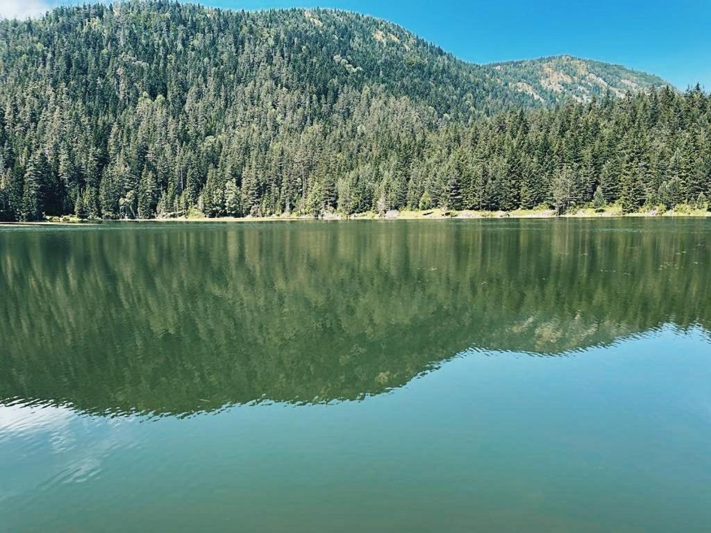 Zminica Lake House 자블야크 외부 사진